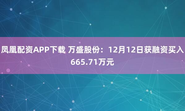 凤凰配资APP下载 万盛股份：12月12日获融资买入665.71万元